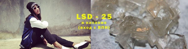 spice Аркадак