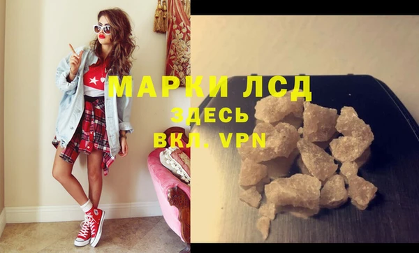 spice Аркадак